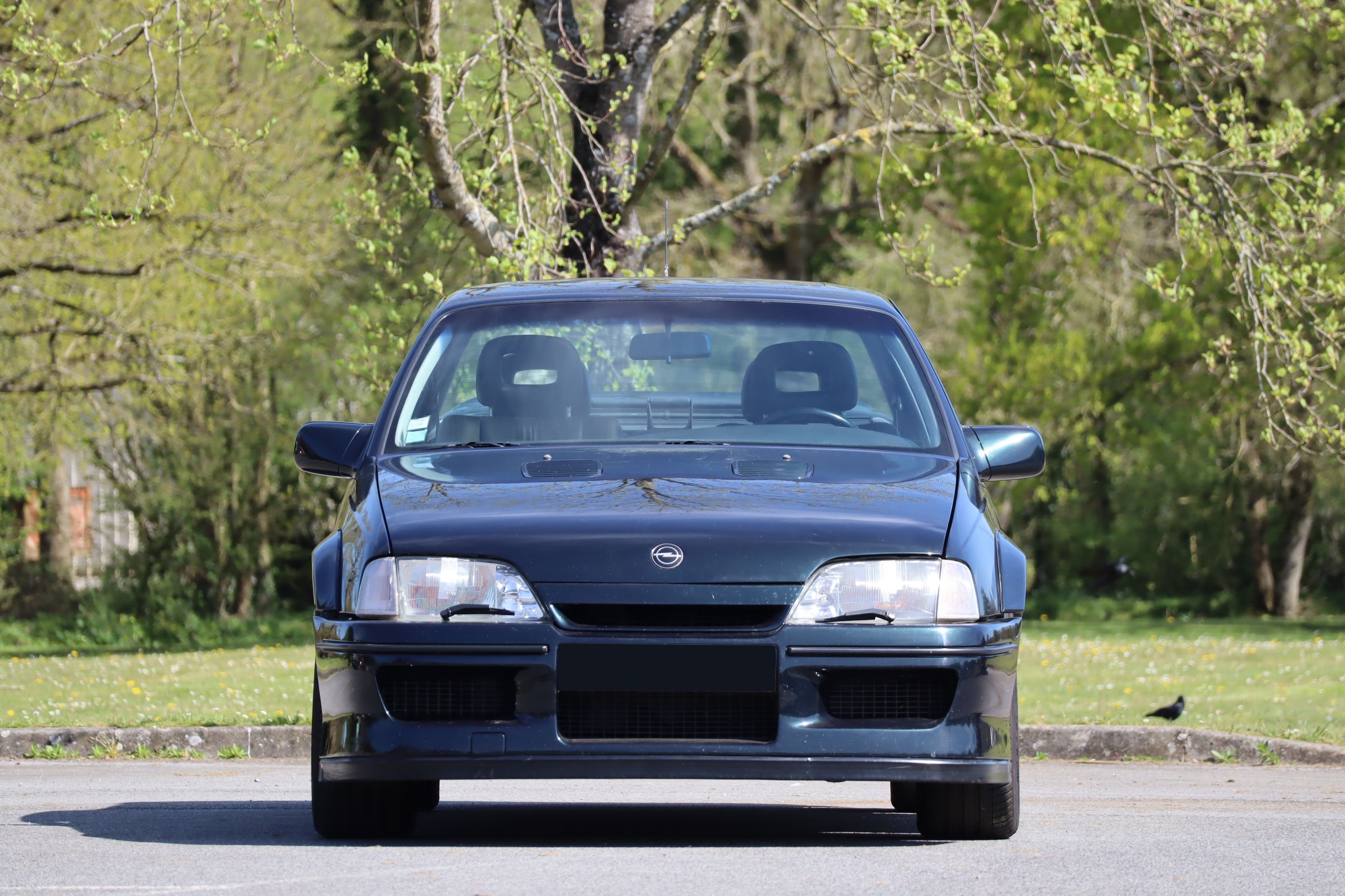 Loaded image